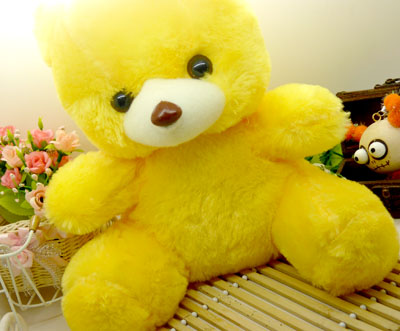 儿童玩具 毛绒玩具 大抱抱熊/黄色小熊