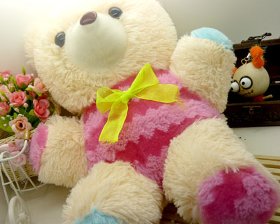 儿童玩具 毛绒玩具 生日礼物圣诞礼物/中长彩色熊