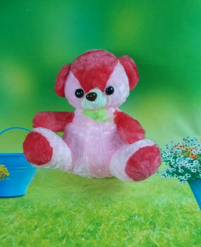 特价熊大熊二毛绒玩具 小熊公仔玩偶 可爱娃娃熊毛绒玩具