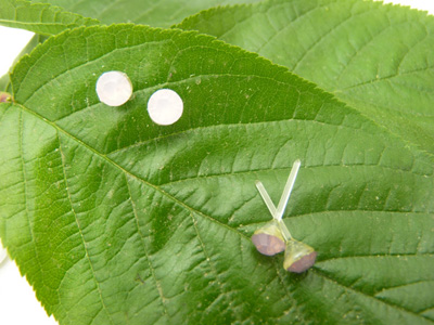 特价韩国防过敏水钻耳钉女 气质耳饰时尚潮流耳针 水晶耳钉水钻耳饰品C6-2-3