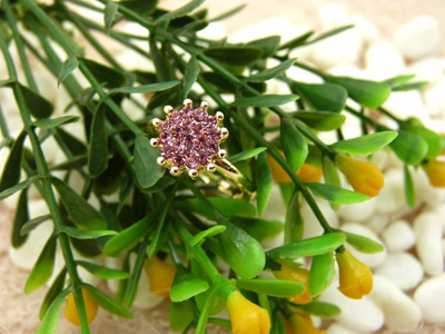 韩国闪亮星星锆石水钻戒 太阳元素指环欧美时尚女饰品 保色戒指