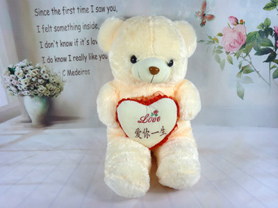 泰迪熊抱枕布娃娃毛绒玩具公仔礼物抱抱熊送女朋友玩偶 -抱心熊3号-11号