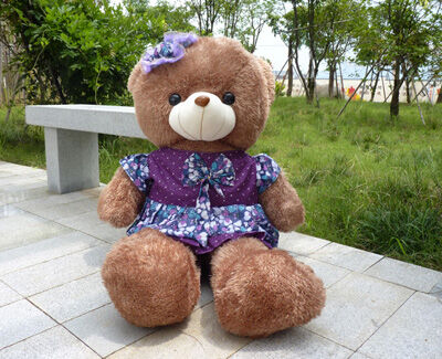 毛绒熊玩具熊泰迪熊穿裙子穿衣熊公仔抱抱熊女玩偶 -帽裙熊棕色熊16号-3号