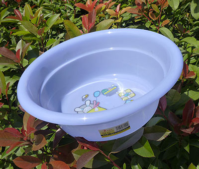 6012时尚家用塑料脸盆洗衣盆 花型脸盆 坚固耐用塑料盆/3号梯