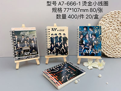 (480/箱)德派万品A7-666时代少年烫金线圈本B36-1-2