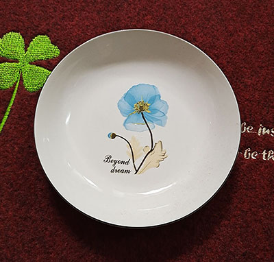 （二级）7寸果盘饭盘百款花型随机--一件一个花型80/件D5-3-1