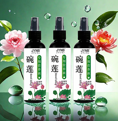 水培不伤鱼莲花烂叶子黄叶开花营养液发芽生根碗莲睡莲专用营养液八B41-1-2