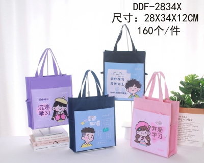 DDF-2834X新款卡通手提作业书袋大容量多功能美术包补课包160/件