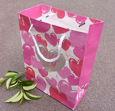 厂家批发商场手提购物袋服装手提纸袋定做牛皮纸袋礼品纸袋e1-2-3