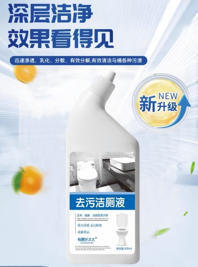 500ml深层洁净去污洁厕灵 32/箱